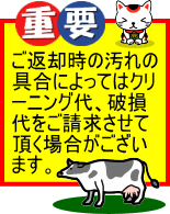 重要