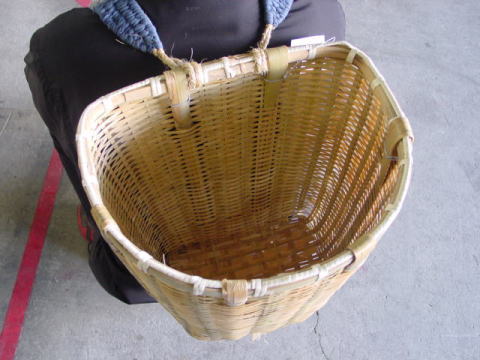 wJS